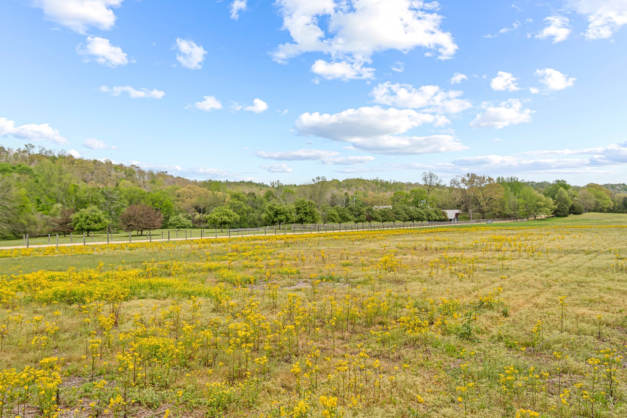 Image 14 of 53 For 0 Backside Beaverdam Road