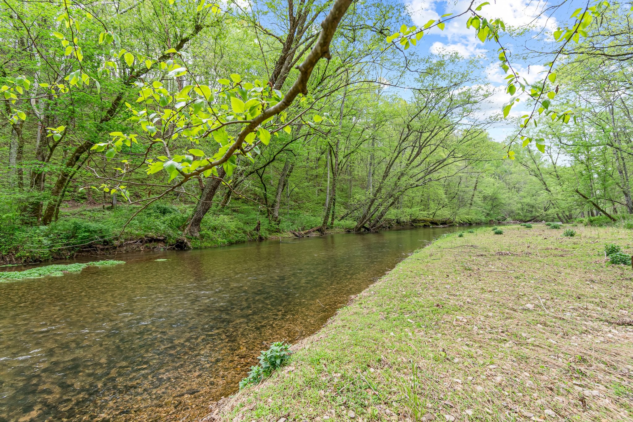 Image 15 of 53 For 0 Backside Beaverdam Road