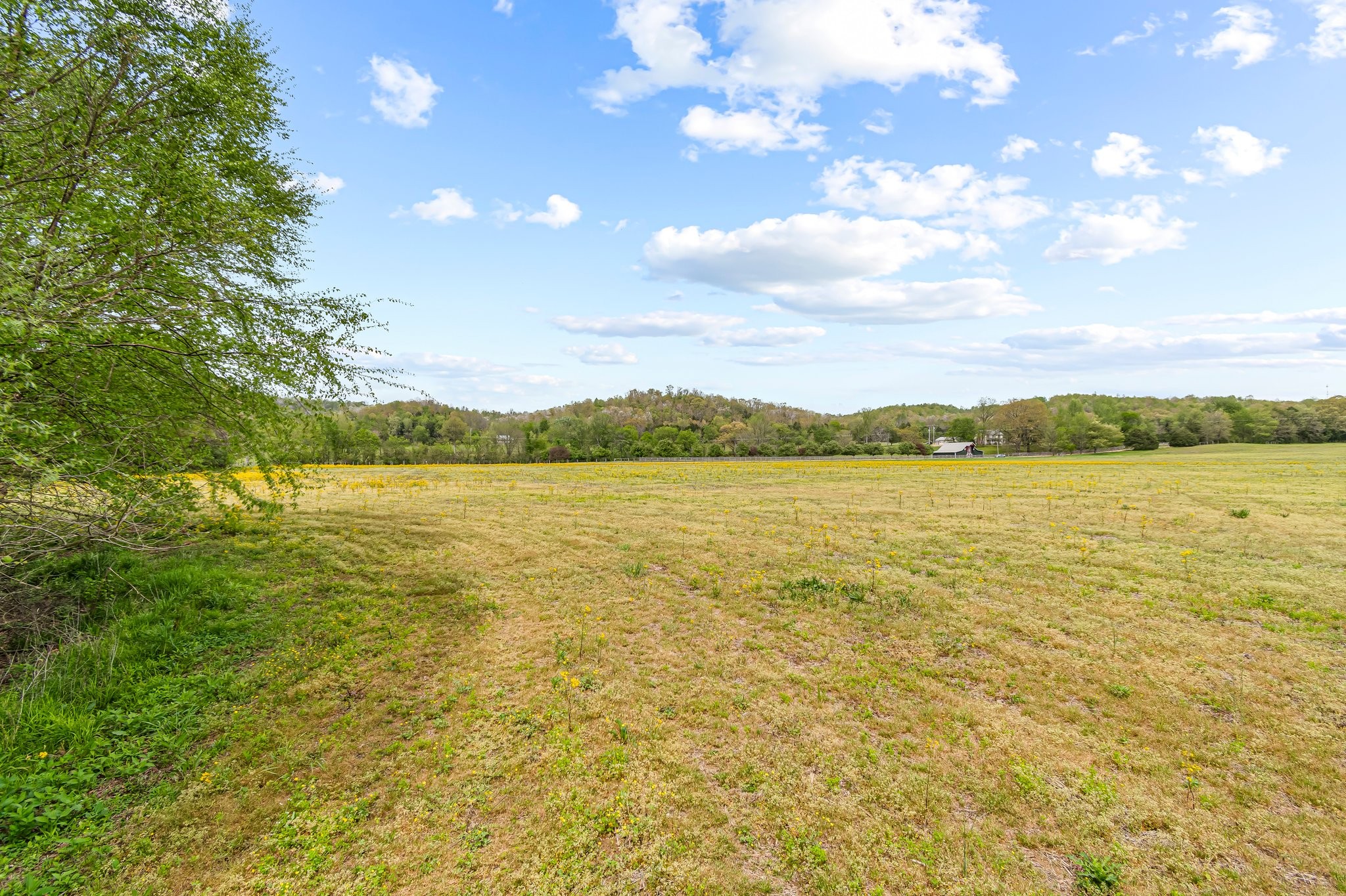 Image 17 of 53 For 0 Backside Beaverdam Road