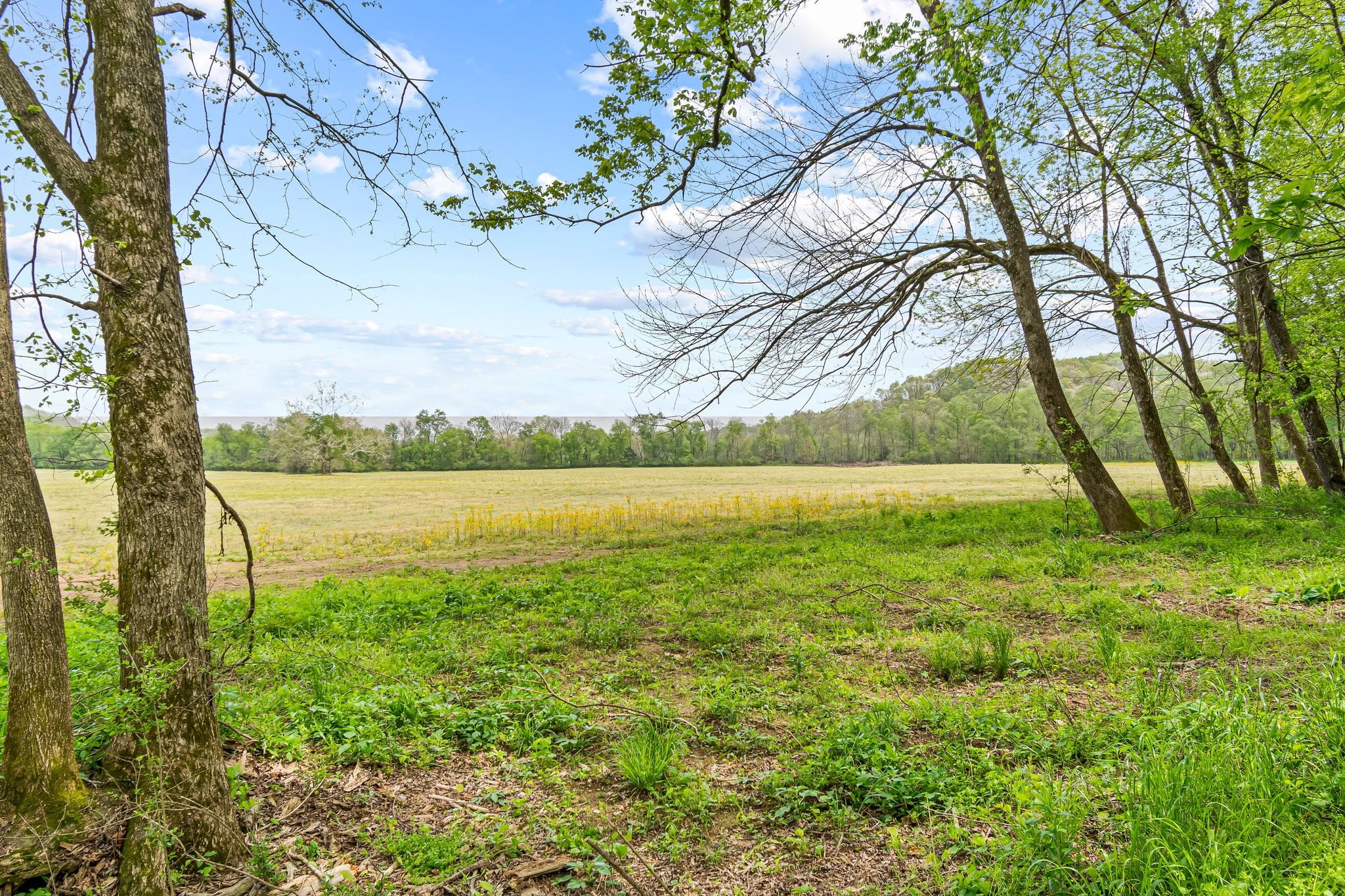 Image 19 of 53 For 0 Backside Beaverdam Road