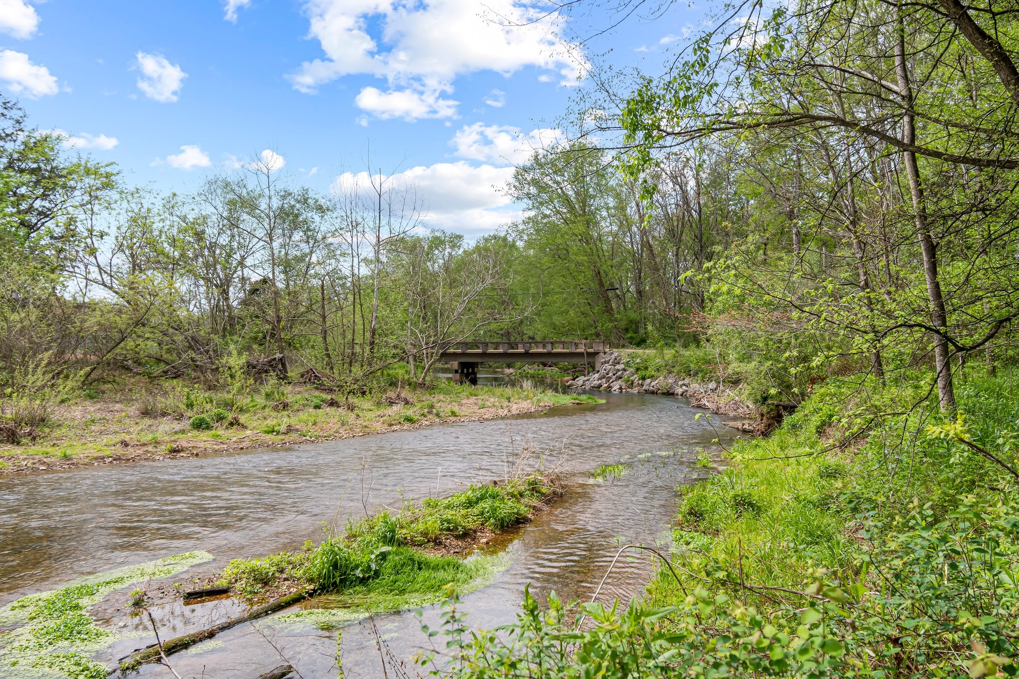 Image 21 of 53 For 0 Backside Beaverdam Road