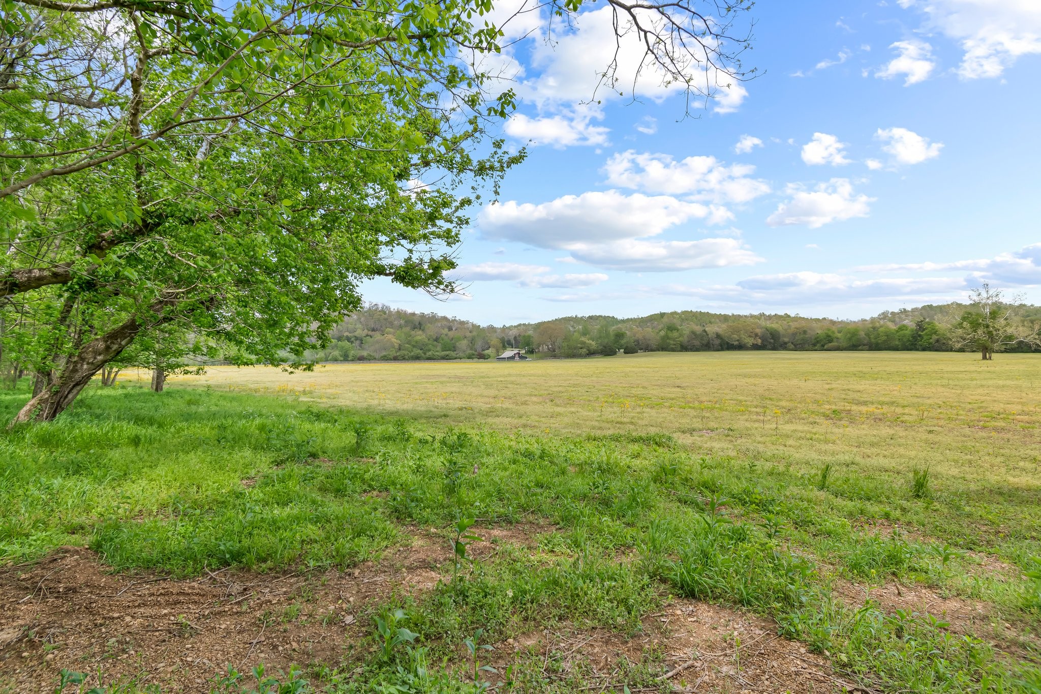 Image 24 of 53 For 0 Backside Beaverdam Road