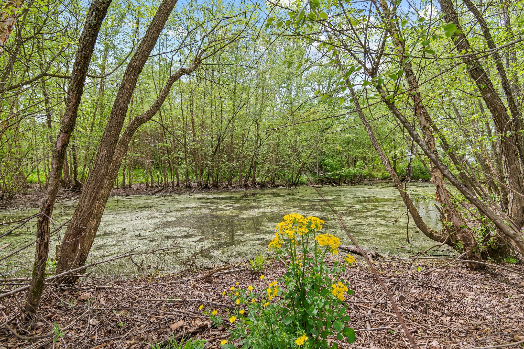 Image 25 of 53 For 0 Backside Beaverdam Road