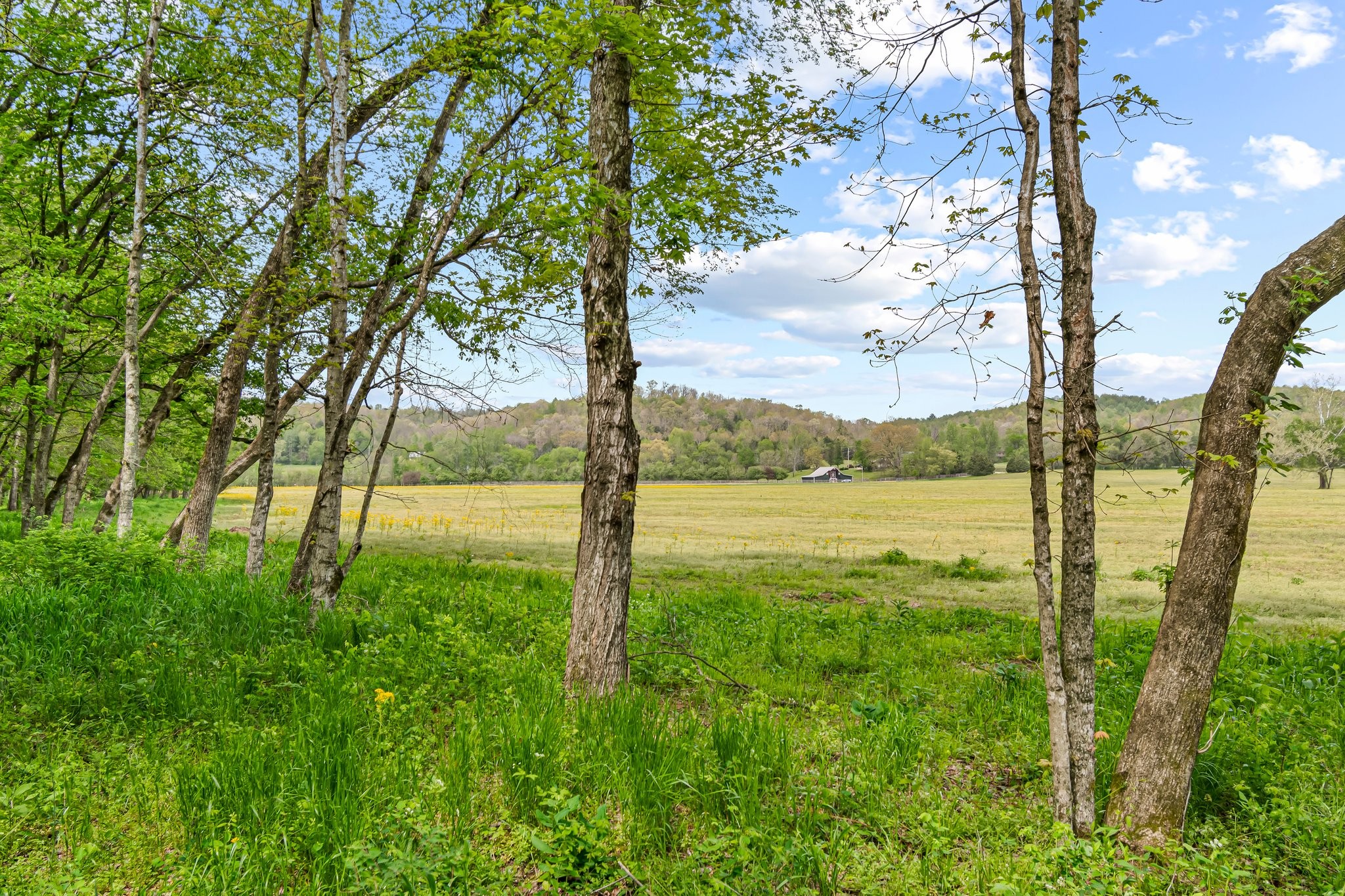 Image 29 of 53 For 0 Backside Beaverdam Road