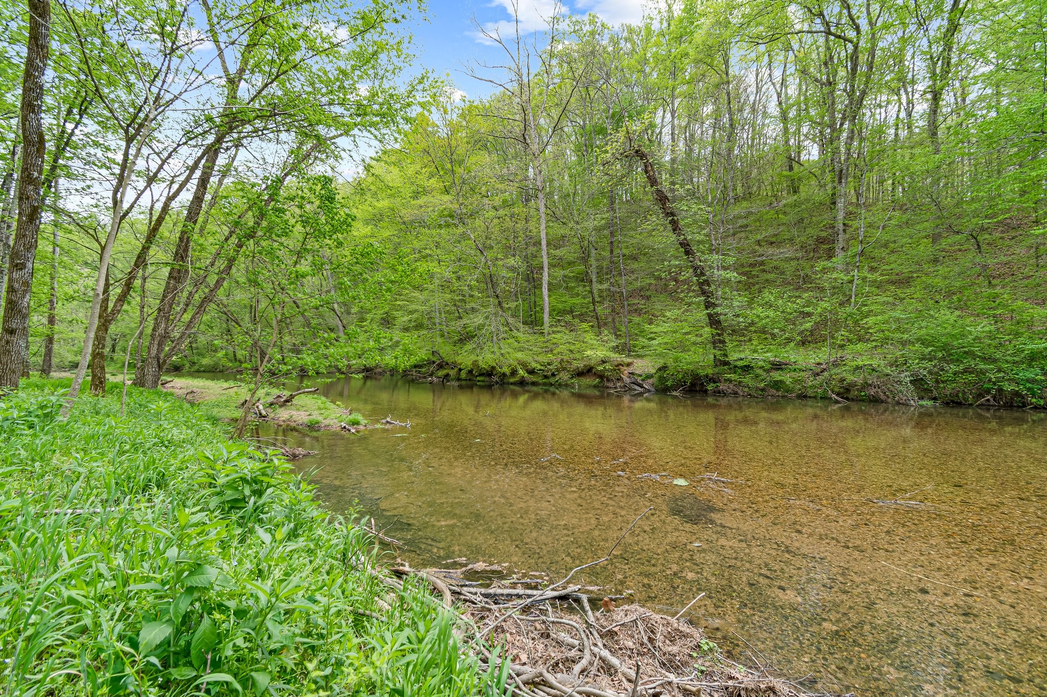 Image 30 of 53 For 0 Backside Beaverdam Road