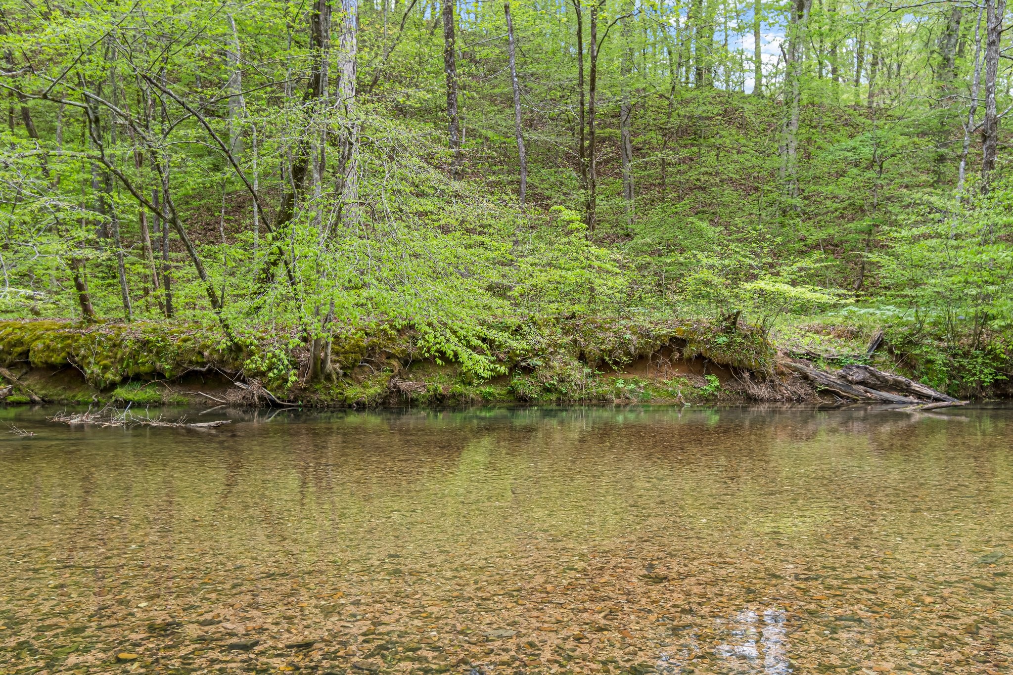 Image 33 of 53 For 0 Backside Beaverdam Road