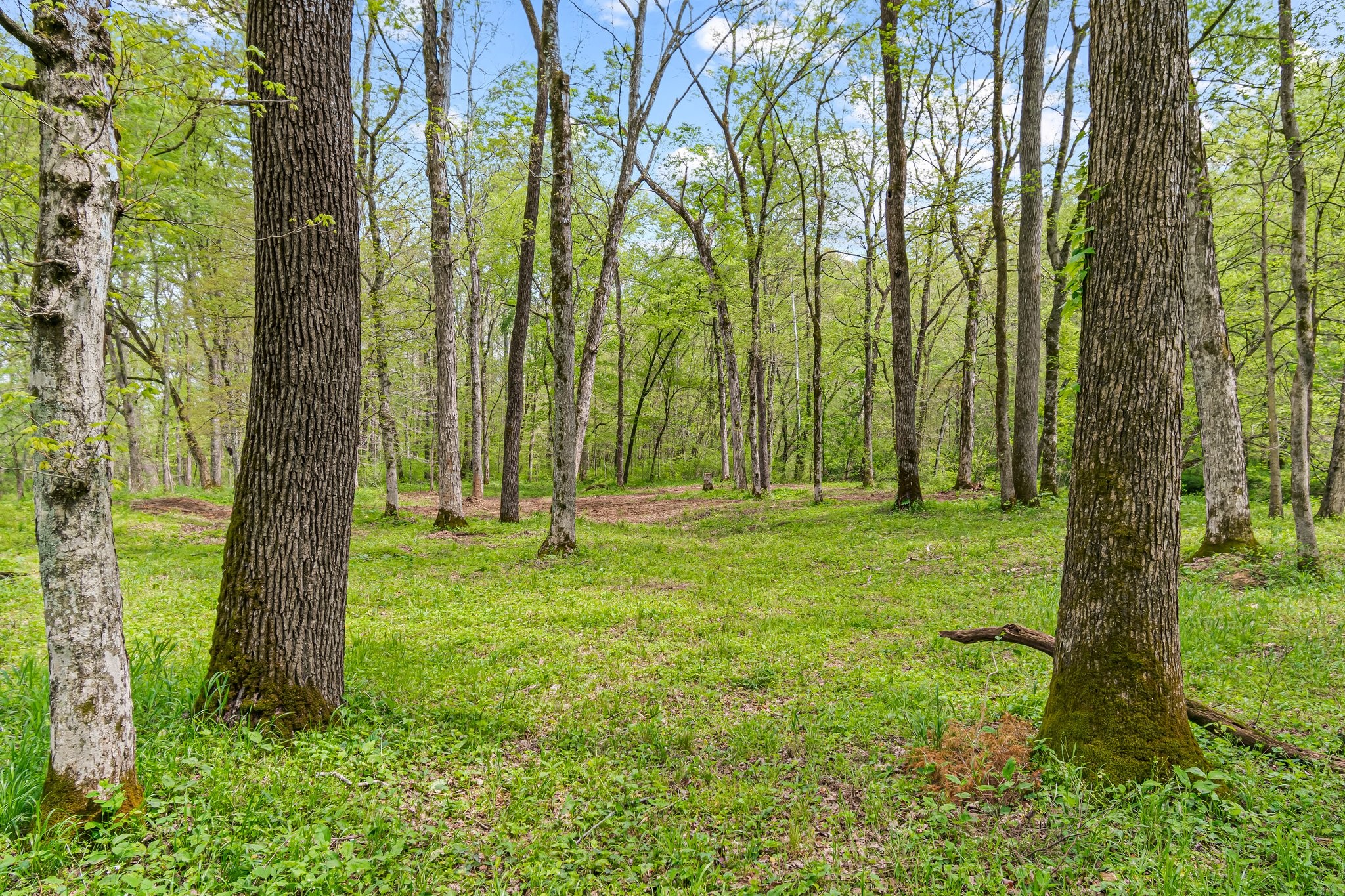 Image 35 of 53 For 0 Backside Beaverdam Road