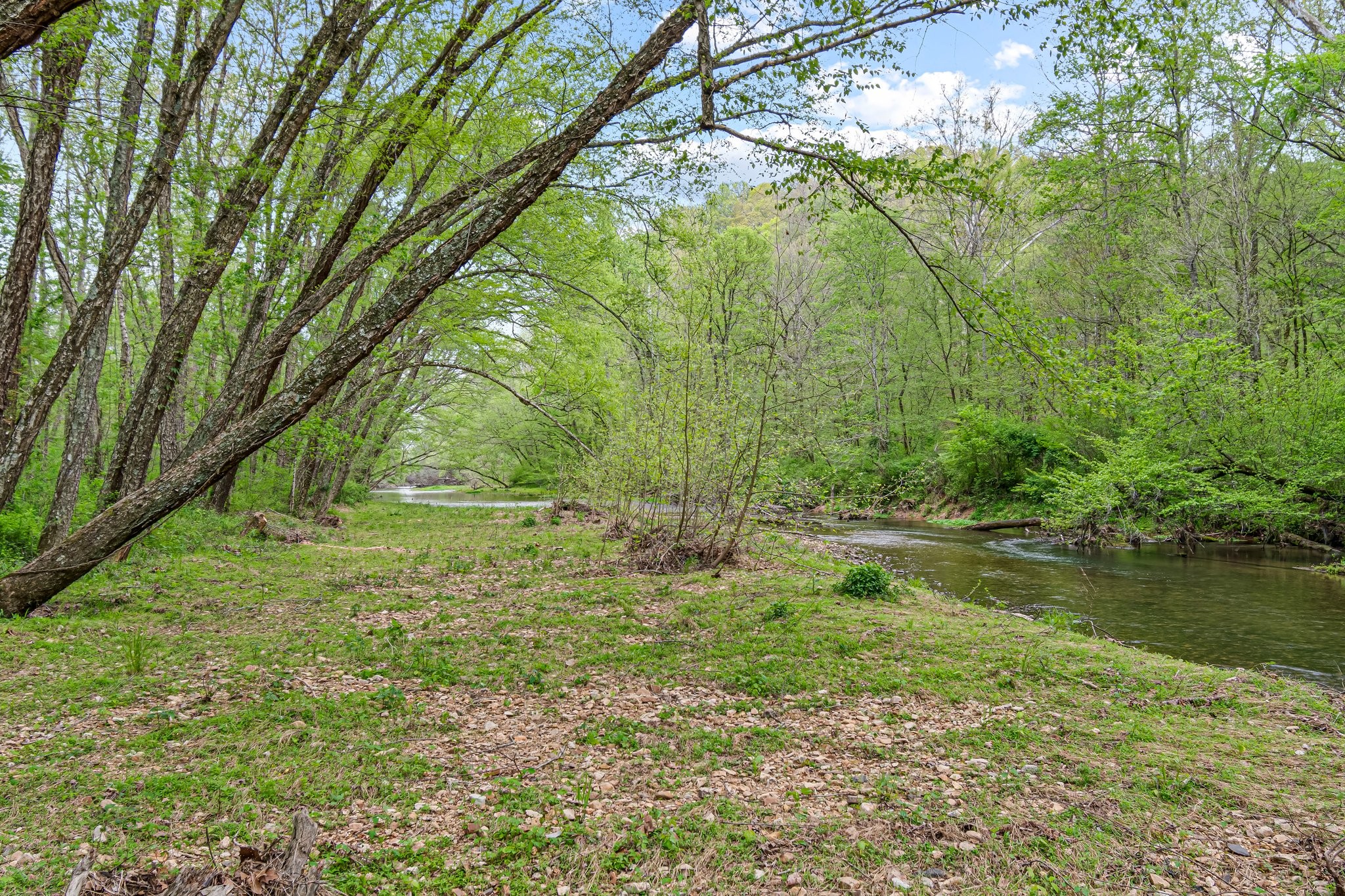 Image 37 of 53 For 0 Backside Beaverdam Road