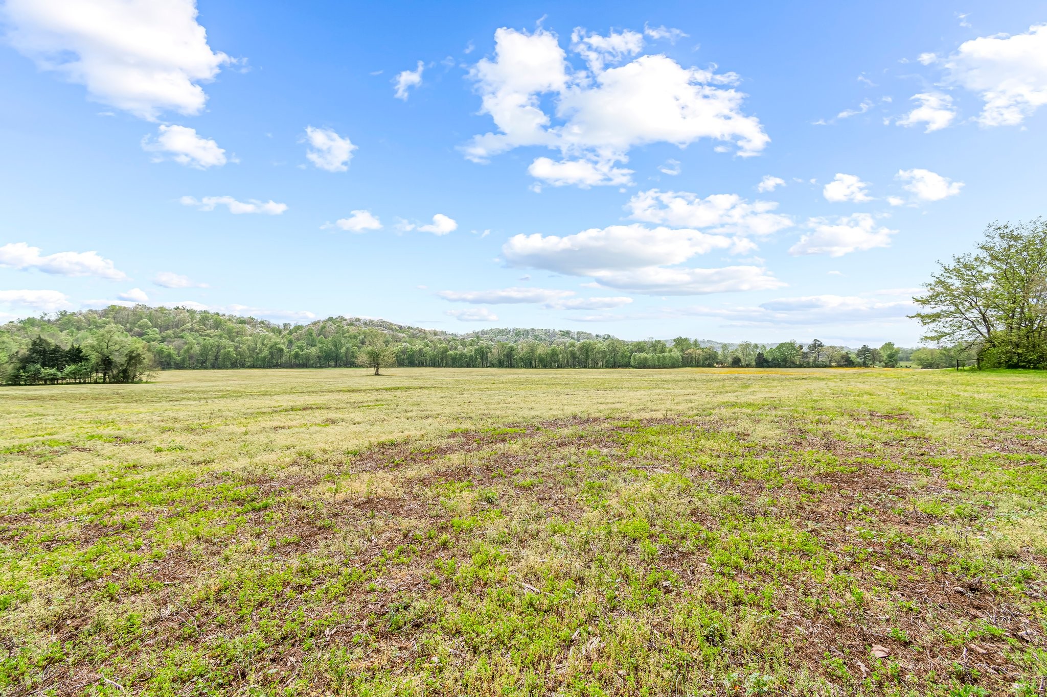 Image 39 of 53 For 0 Backside Beaverdam Road