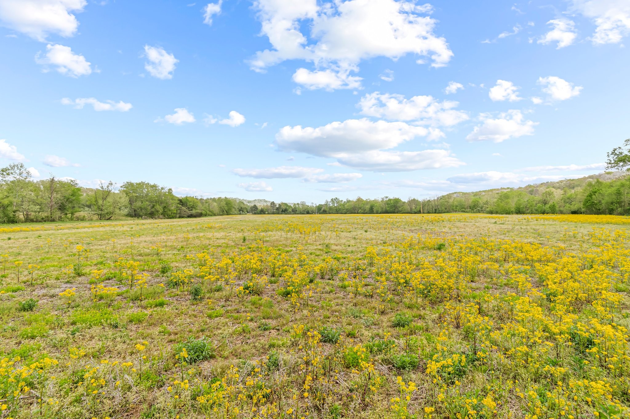 Image 41 of 53 For 0 Backside Beaverdam Road