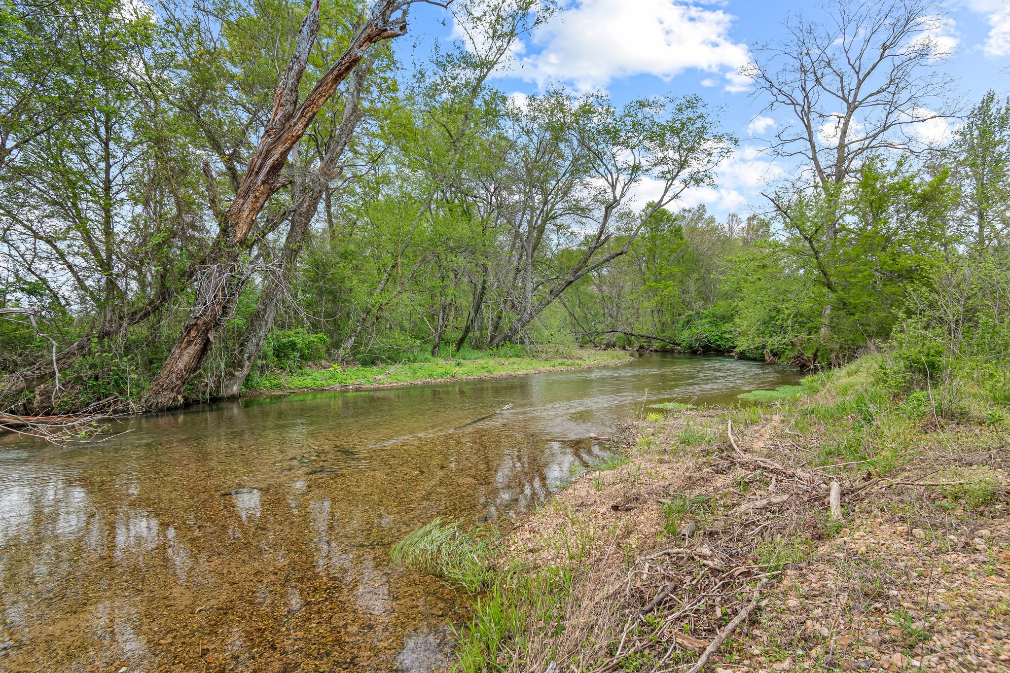 Image 42 of 53 For 0 Backside Beaverdam Road