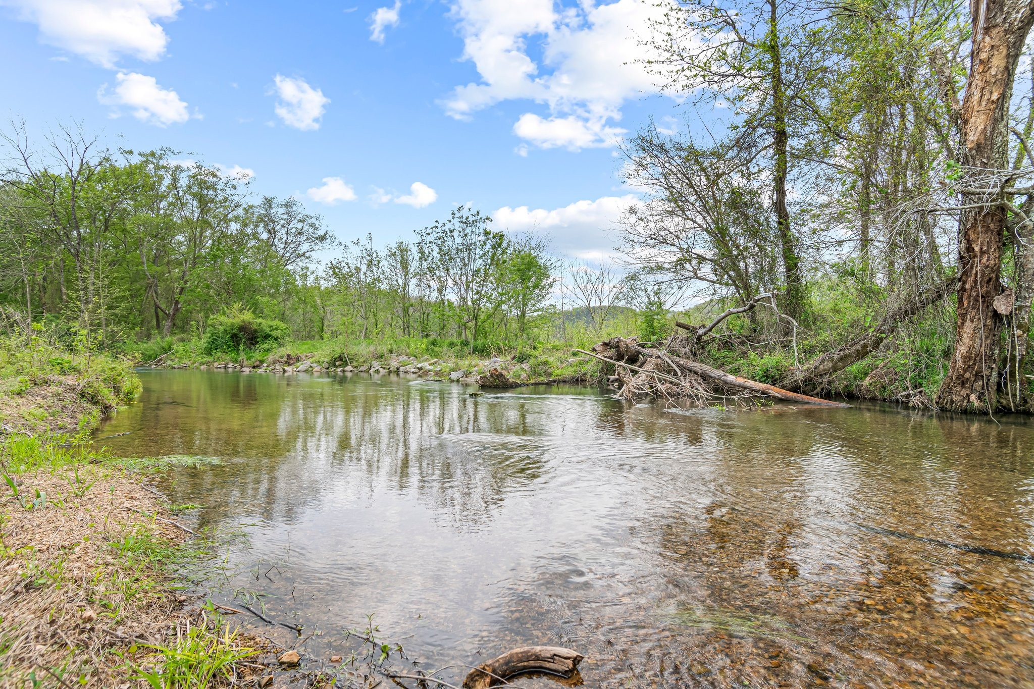 Image 43 of 53 For 0 Backside Beaverdam Road