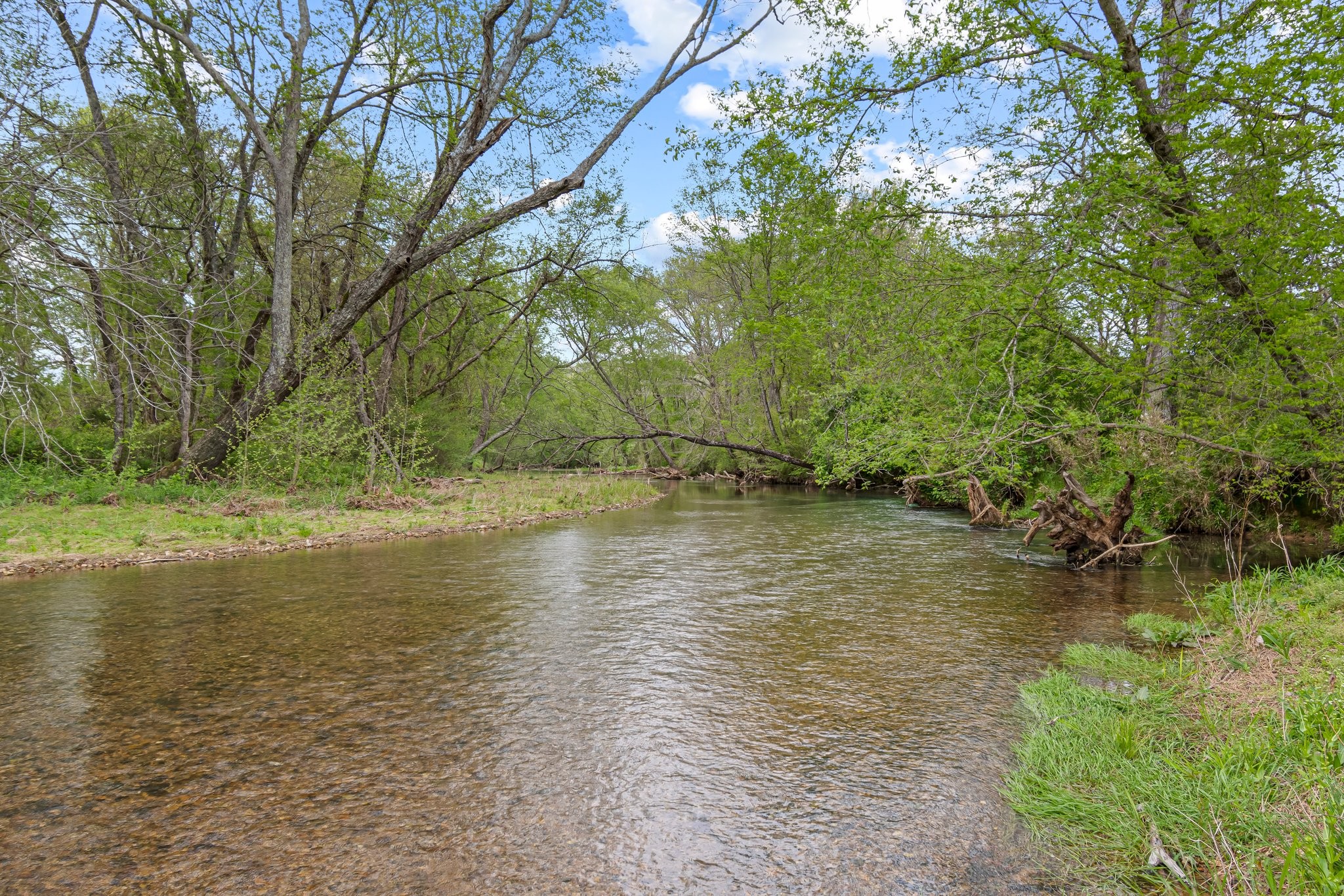 Image 44 of 53 For 0 Backside Beaverdam Road