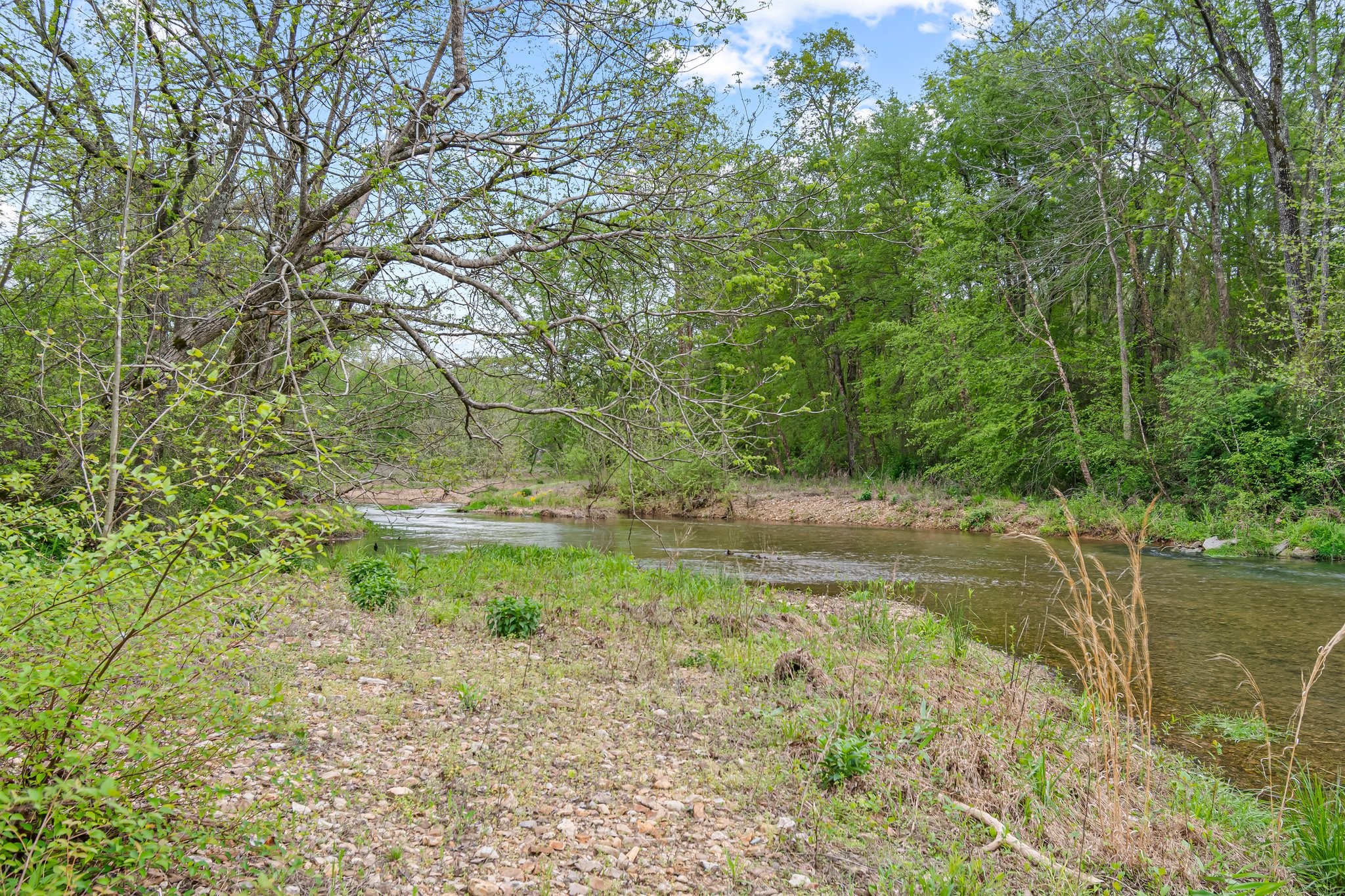 Image 45 of 53 For 0 Backside Beaverdam Road