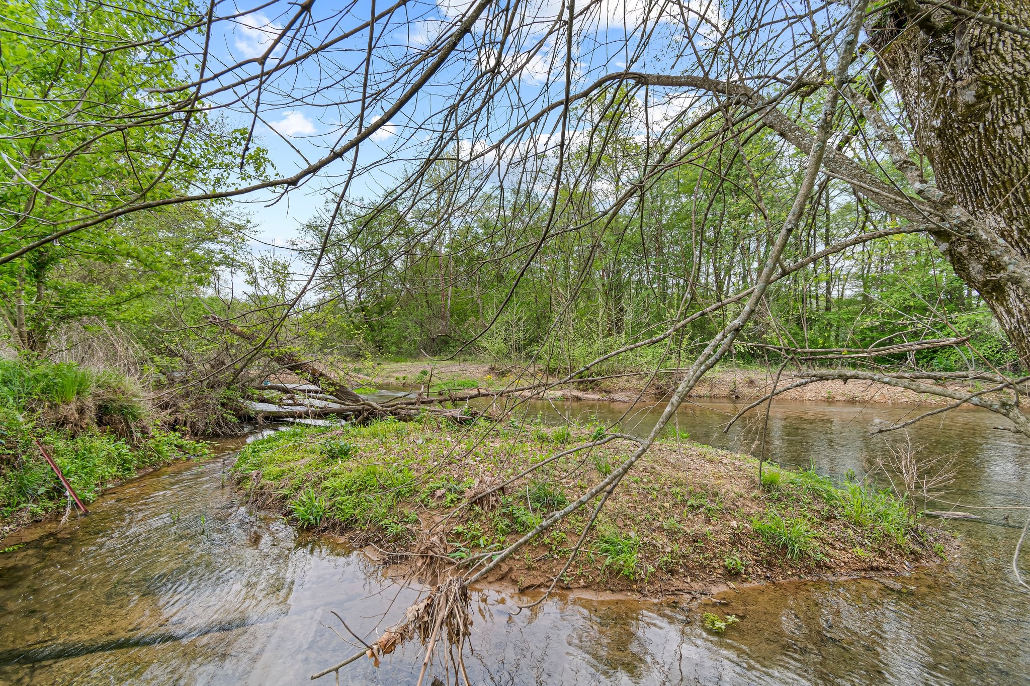 Image 46 of 53 For 0 Backside Beaverdam Road