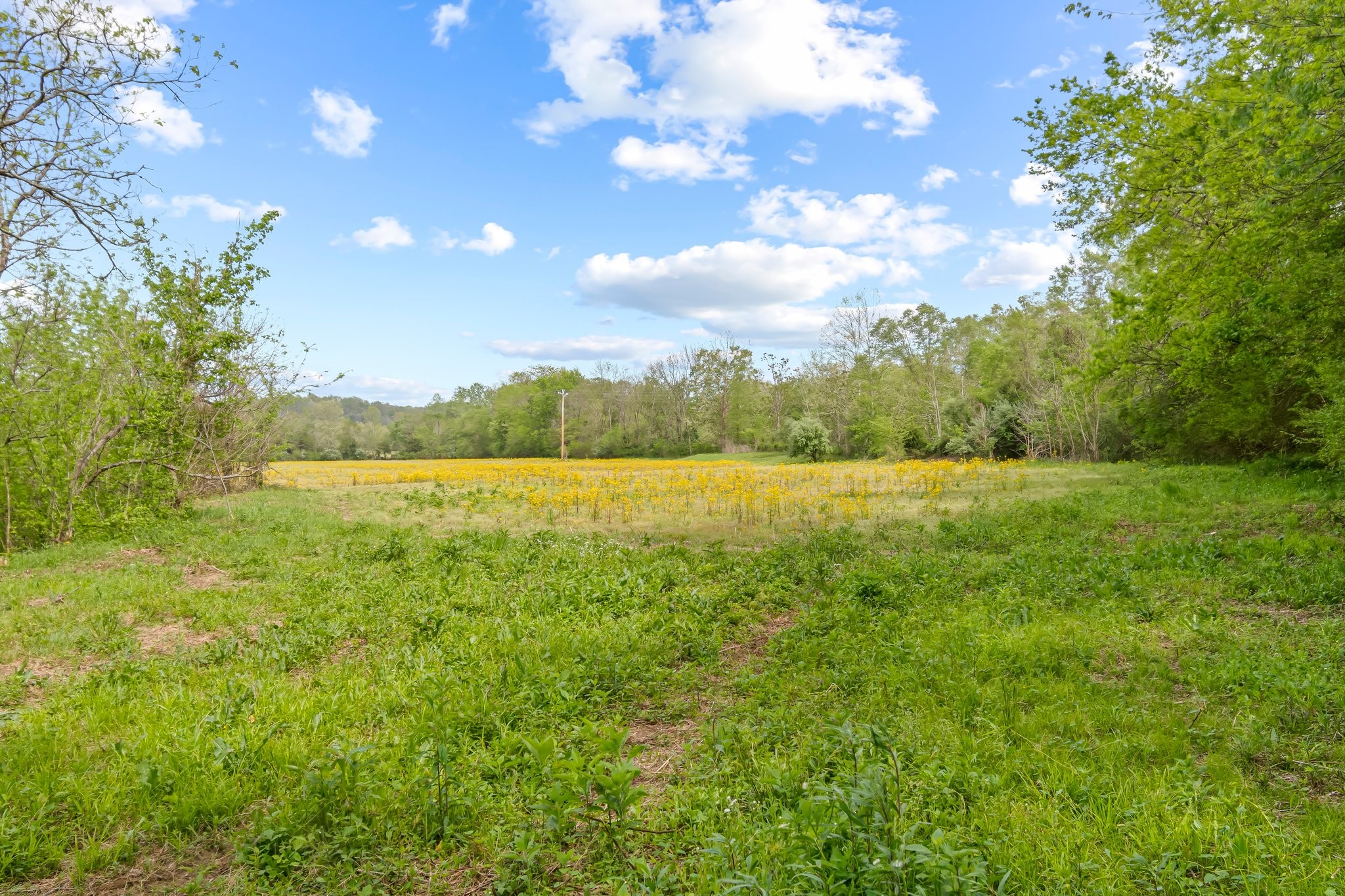 Image 47 of 53 For 0 Backside Beaverdam Road