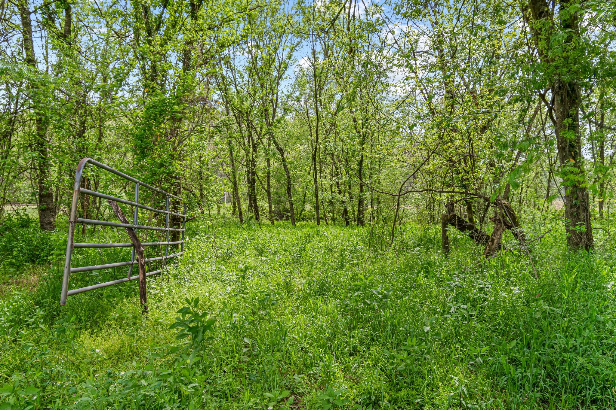 Image 48 of 53 For 0 Backside Beaverdam Road