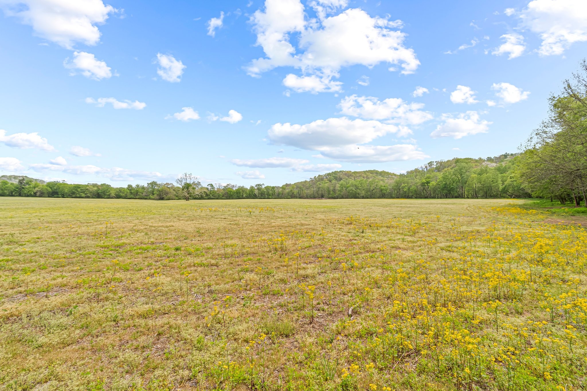 Image 5 of 53 For 0 Backside Beaverdam Road