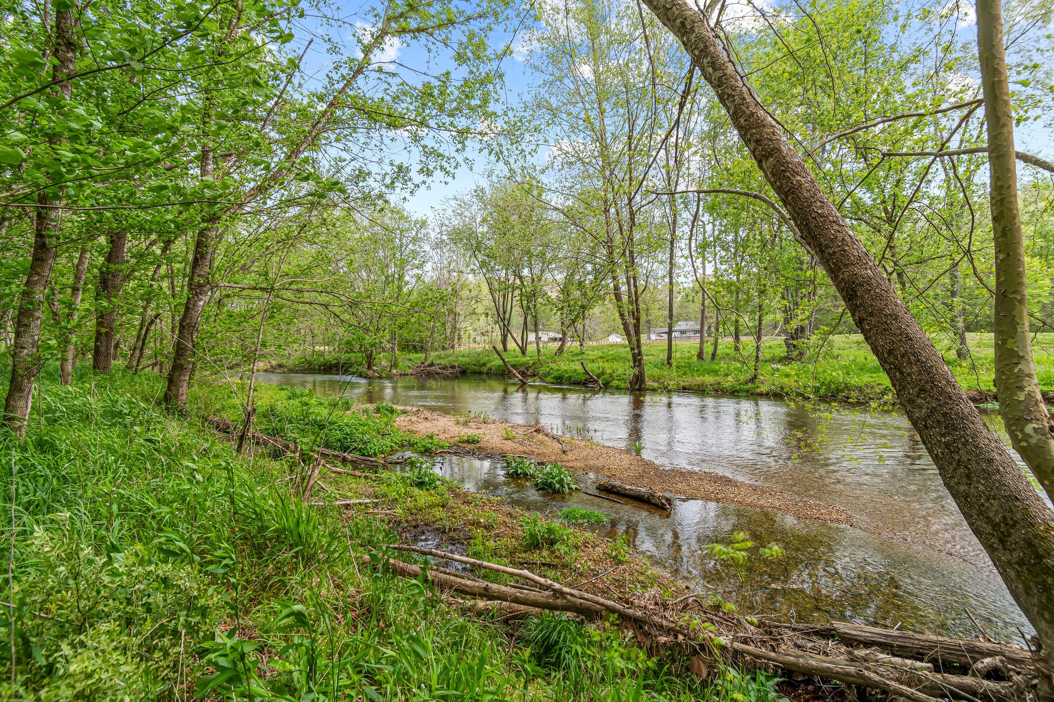 Image 50 of 53 For 0 Backside Beaverdam Road