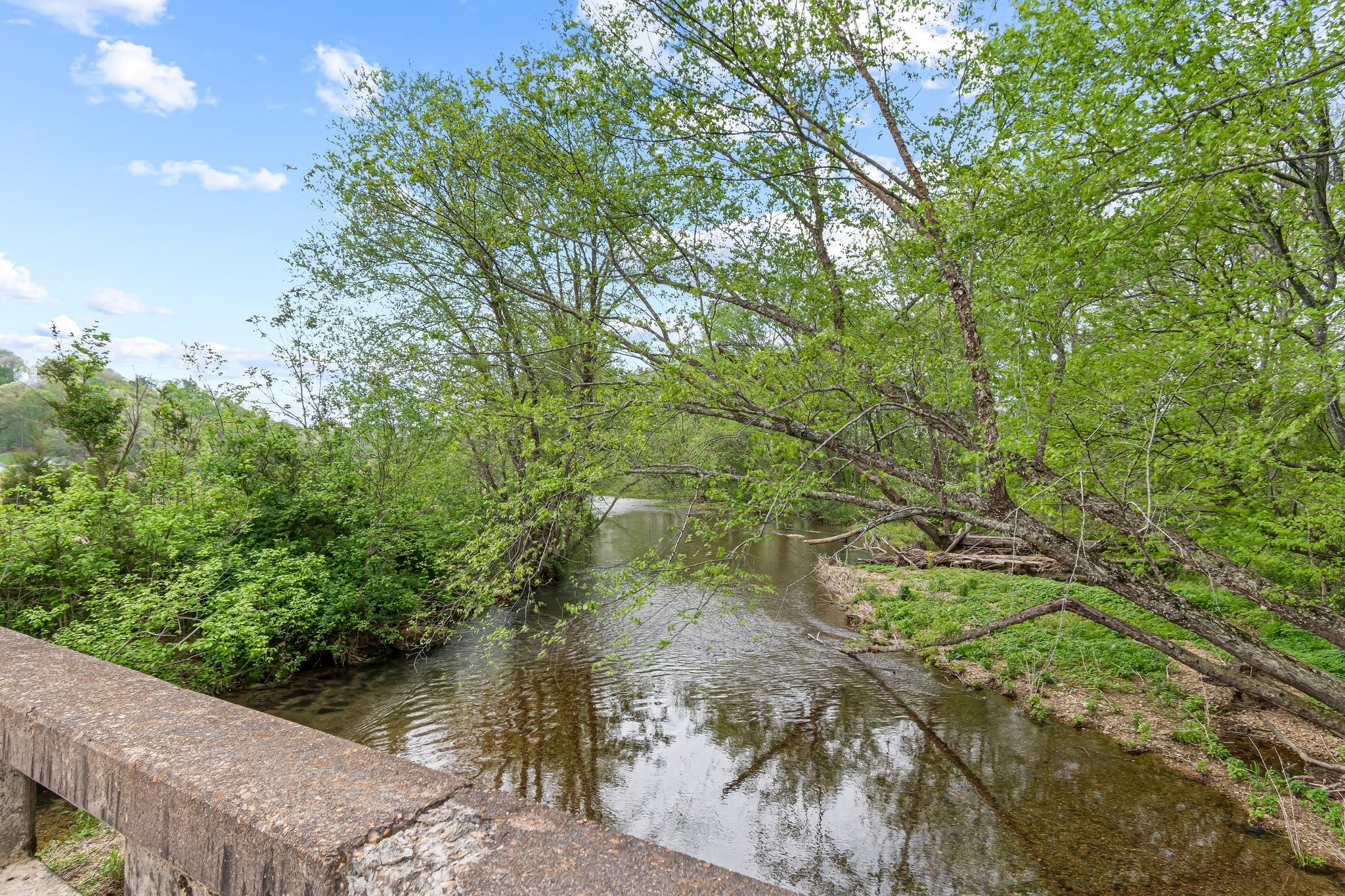 Image 52 of 53 For 0 Backside Beaverdam Road