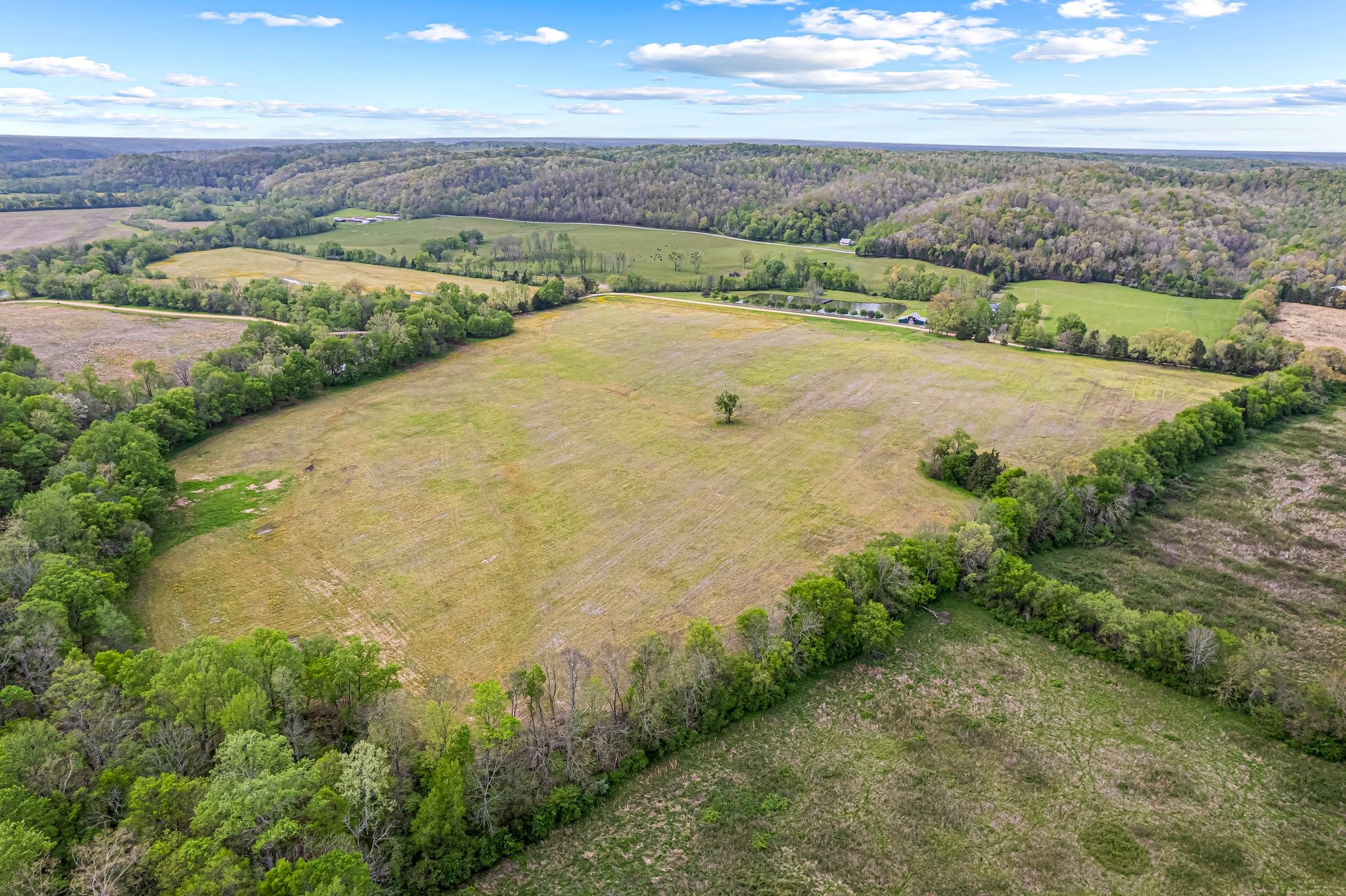 Image 8 of 53 For 0 Backside Beaverdam Road