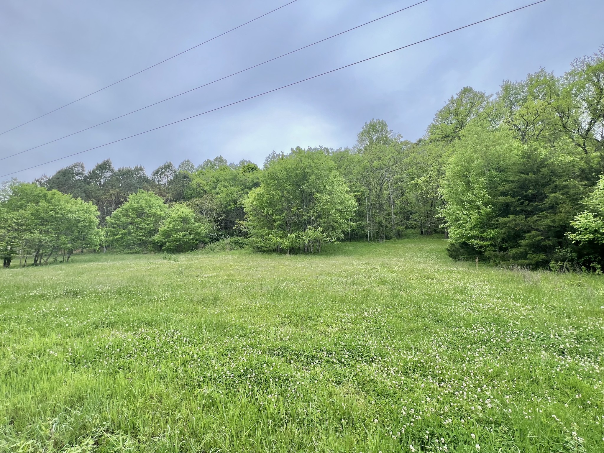 Details for 0 Thompson Hollow, Taft, TN 38488