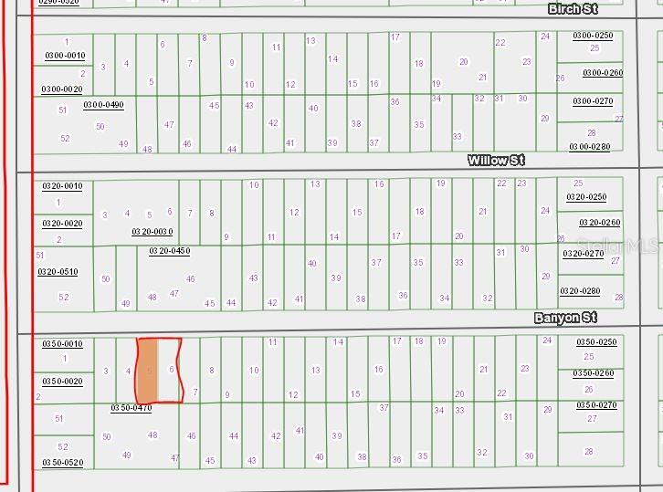 Details for 00 Banvon  , INTERLACHEN, FL 32148