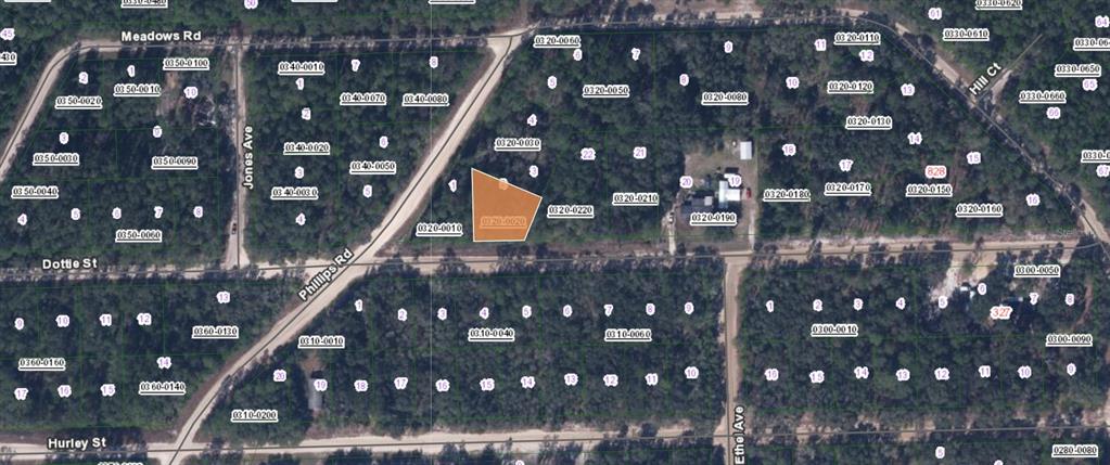 Listing Details for 00 Dottie Street, INTERLACHEN, FL 32148