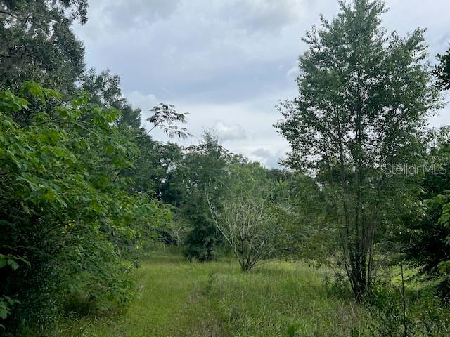Image 21 of 26 For 3231 Hwy 41  