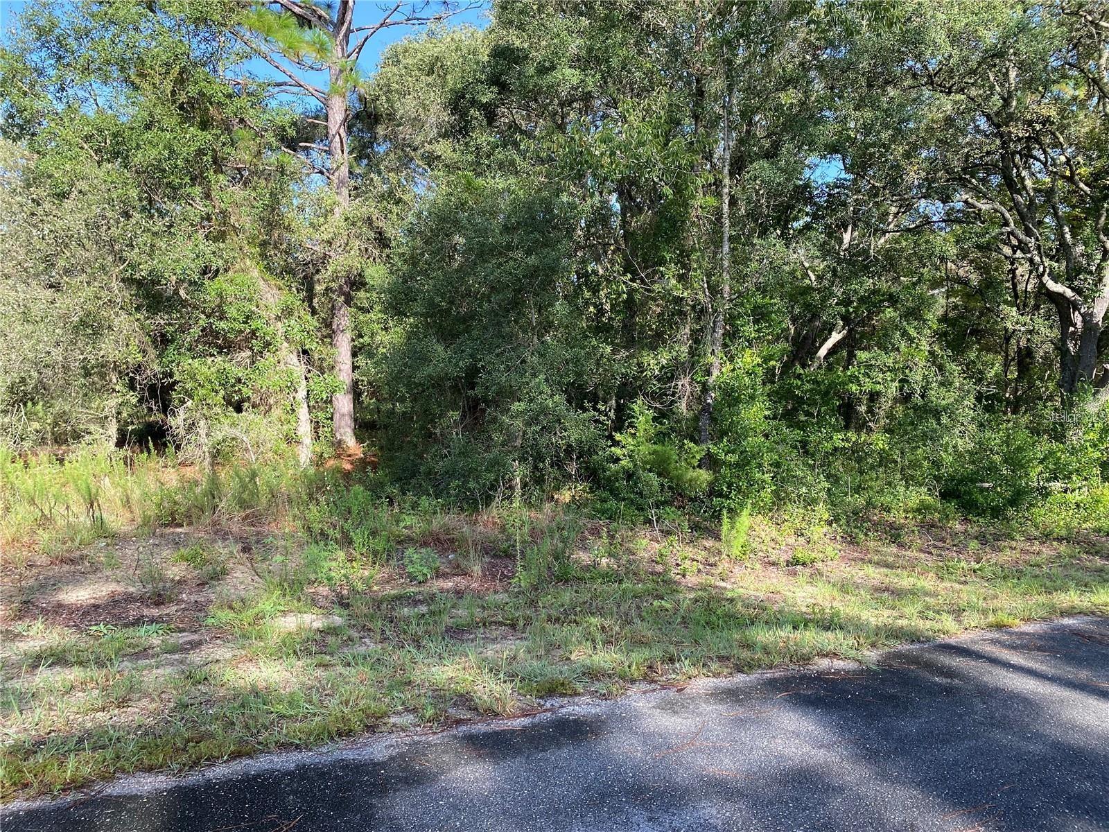 Details for Breezy Point Drive, DUNNELLON, FL 34431