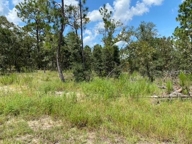 Details for Nectarine Lane, DUNNELLON, FL 34431