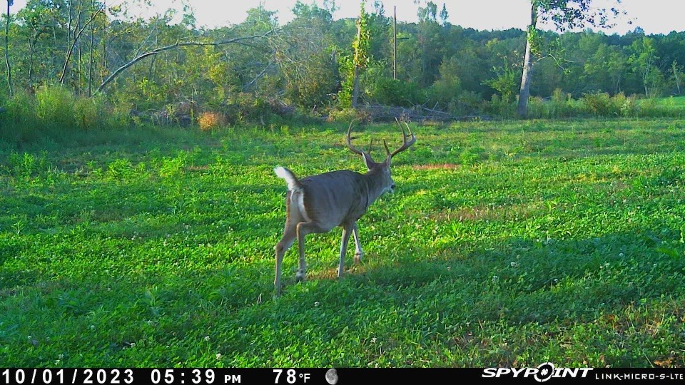 Image 69 of 69 For 8740 Lacher Rd