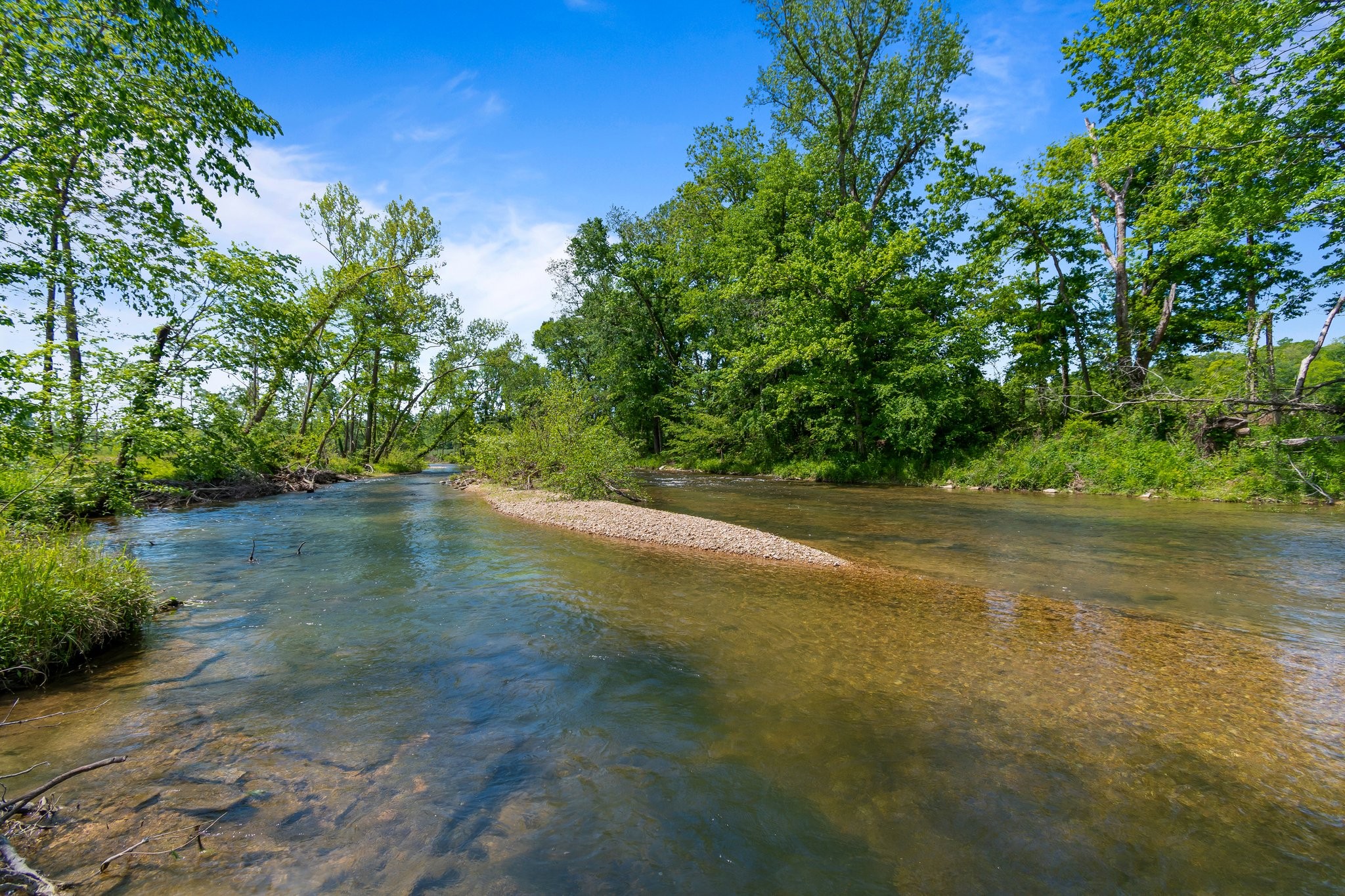 Image 8 of 69 For 8740 Lacher Rd