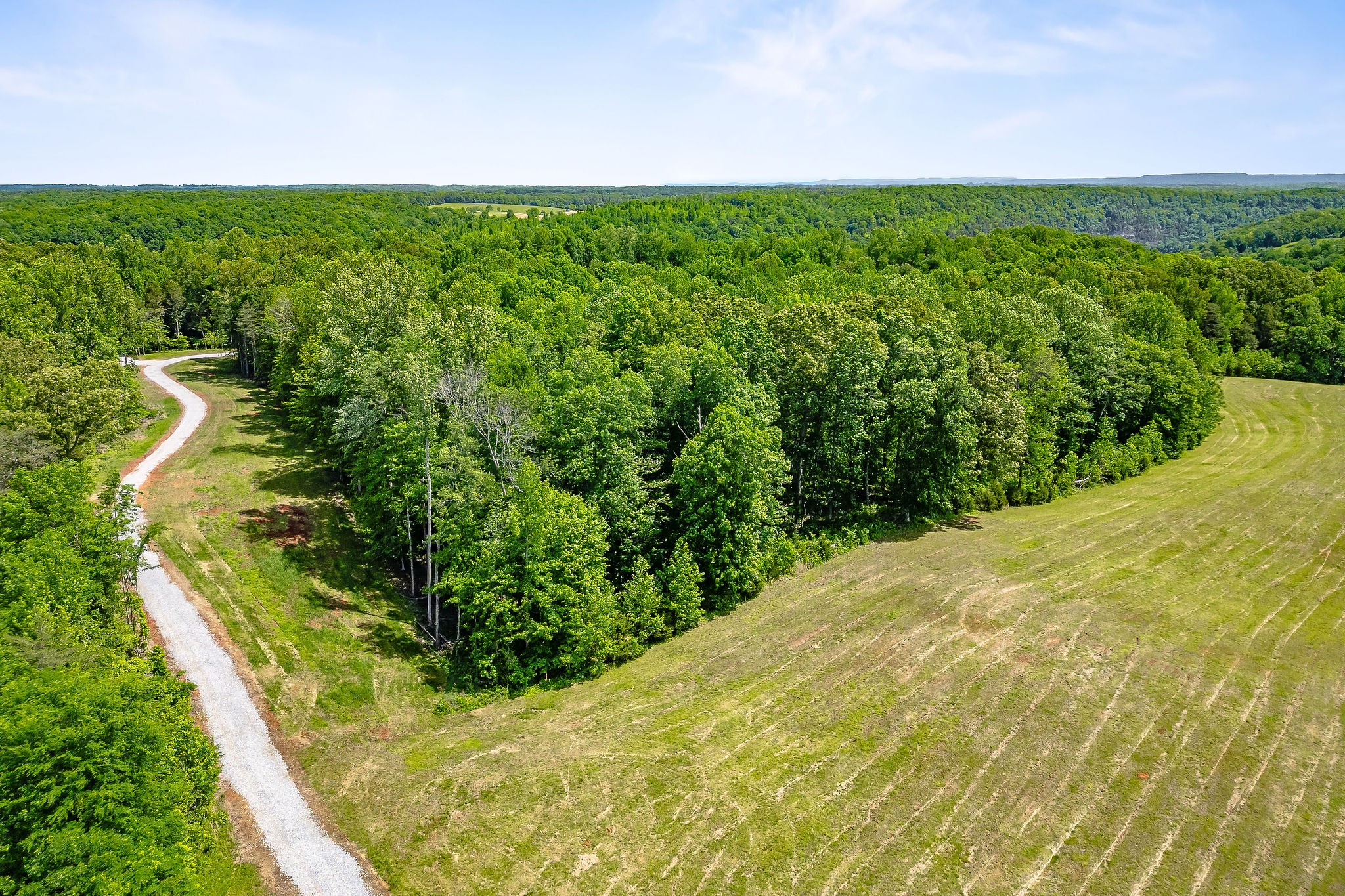 Image 3 of 61 For 13831 Highway 225