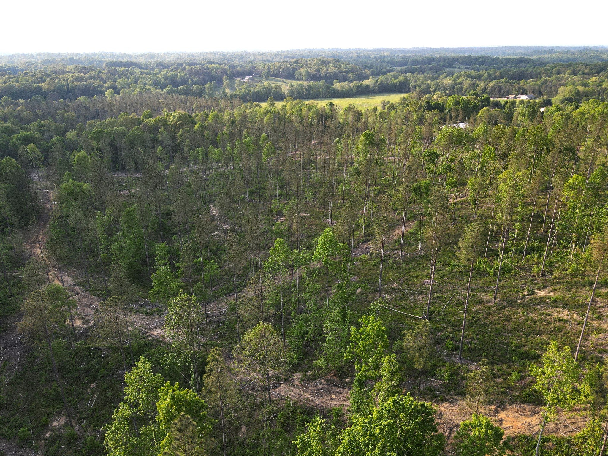 Image 4 of 10 For 0 Old Federal Road