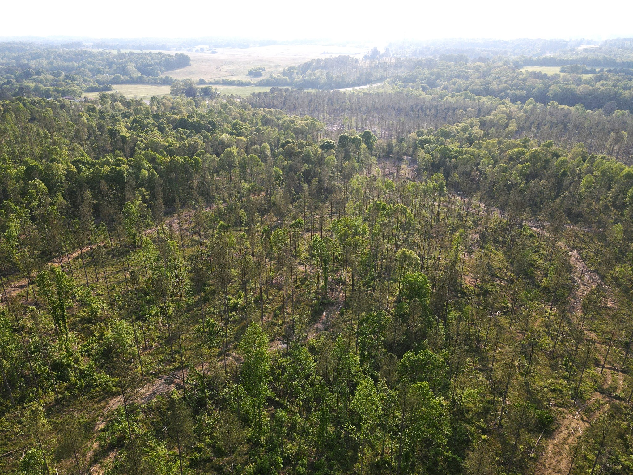 Image 8 of 10 For 0 Old Federal Road