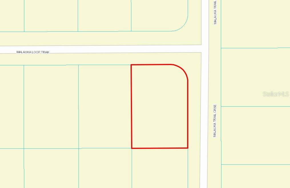 Details for 00 Malauka Loop Track, OCKLAWAHA, FL 32179