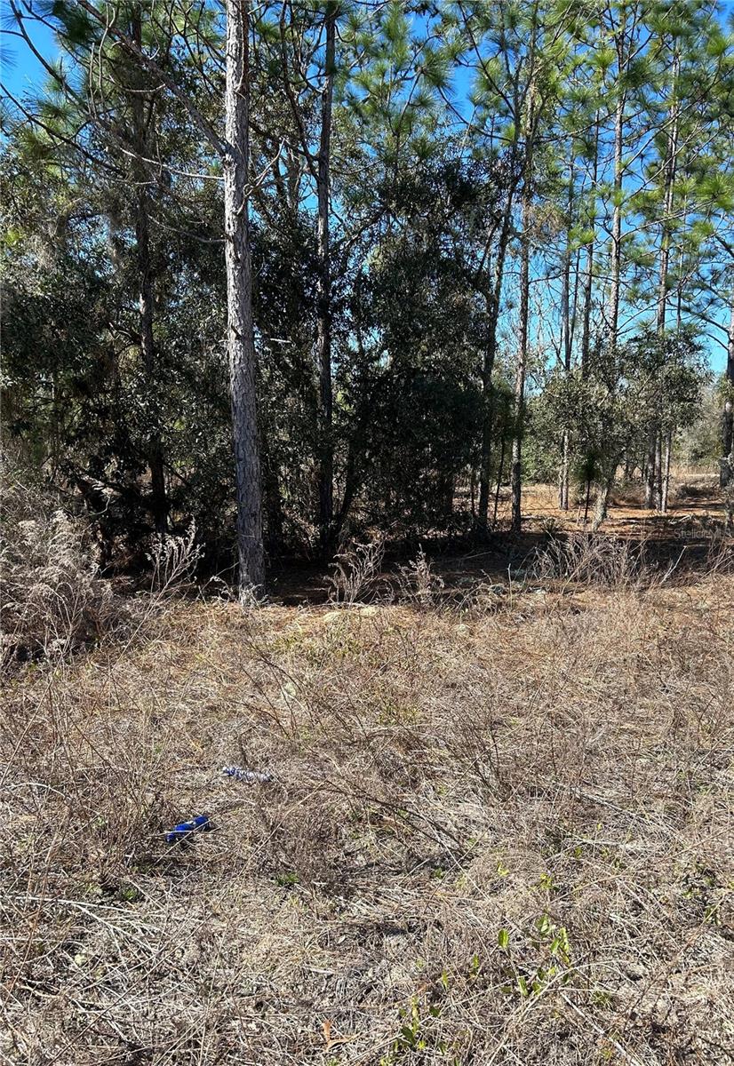 Details for Tbd Evergreen Court, DUNNELLON, FL 34431