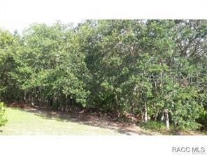 Listing Details for 00 126th Terrace, DUNNELLON, FL 34431
