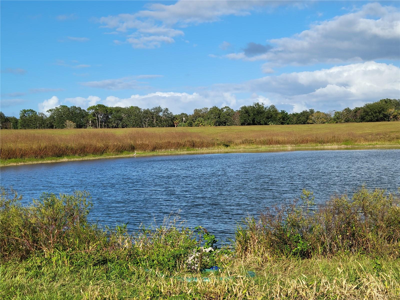 Image 14 of 46 For 74th Lane Road 3-west