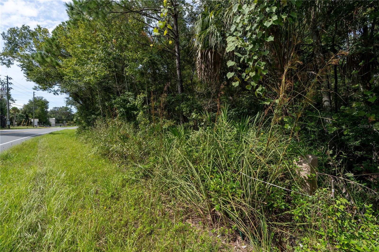 Listing photo id 8 for 9955 Fort Island Trail