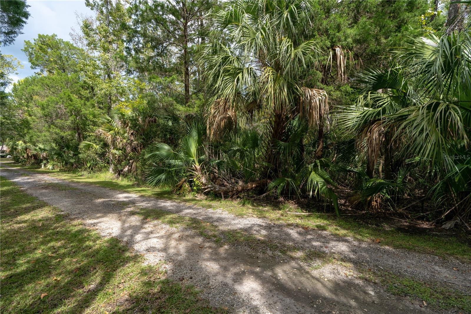 Listing photo id 3 for 9955 Fort Island Trail