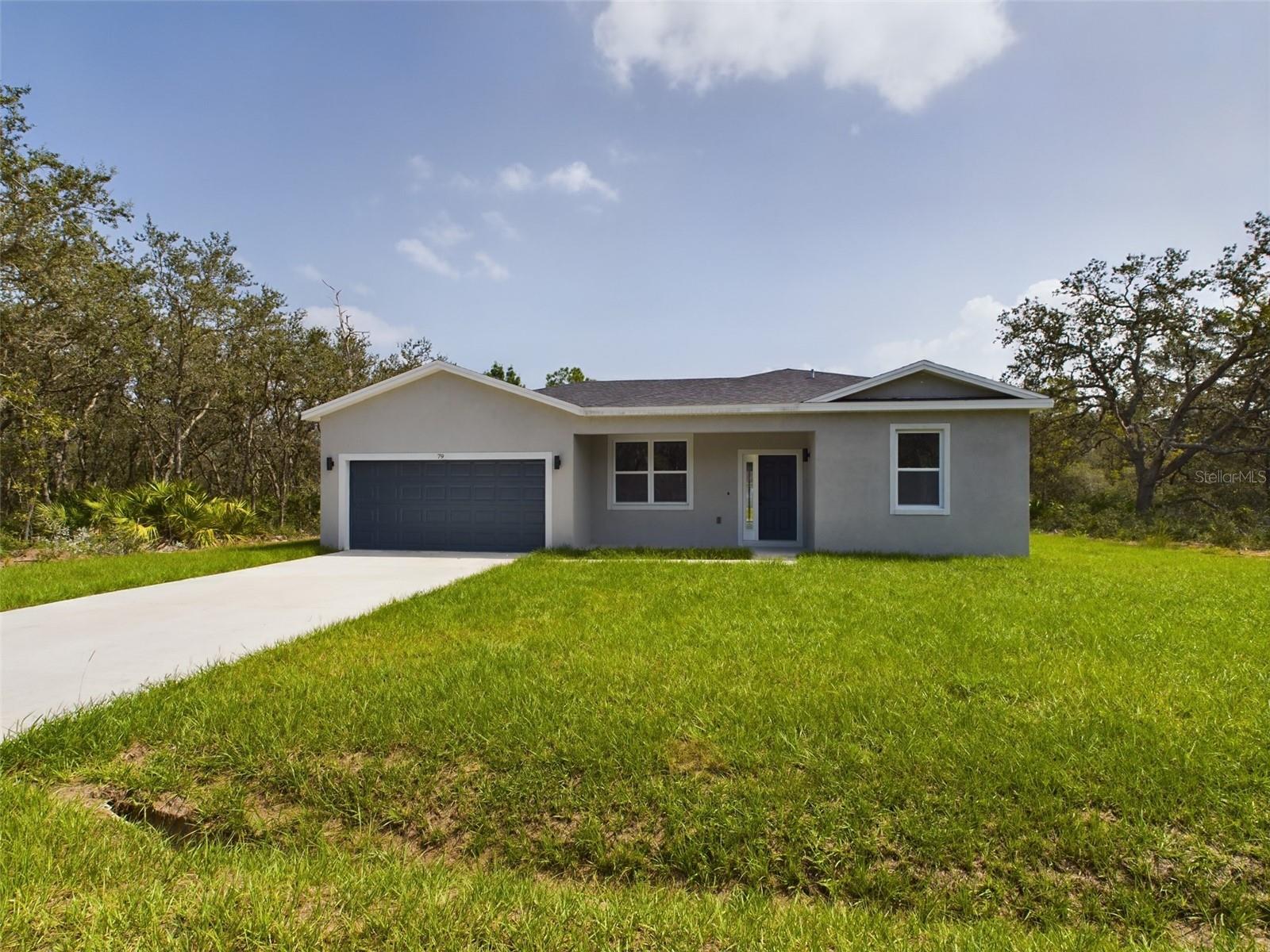 Details for 18 Malauka Pass Drive, OCKLAWAHA, FL 32179