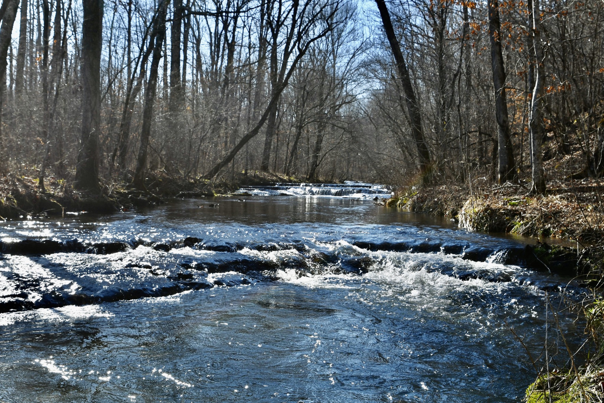 Image 65 of 70 For 0 Allen Creek Rd