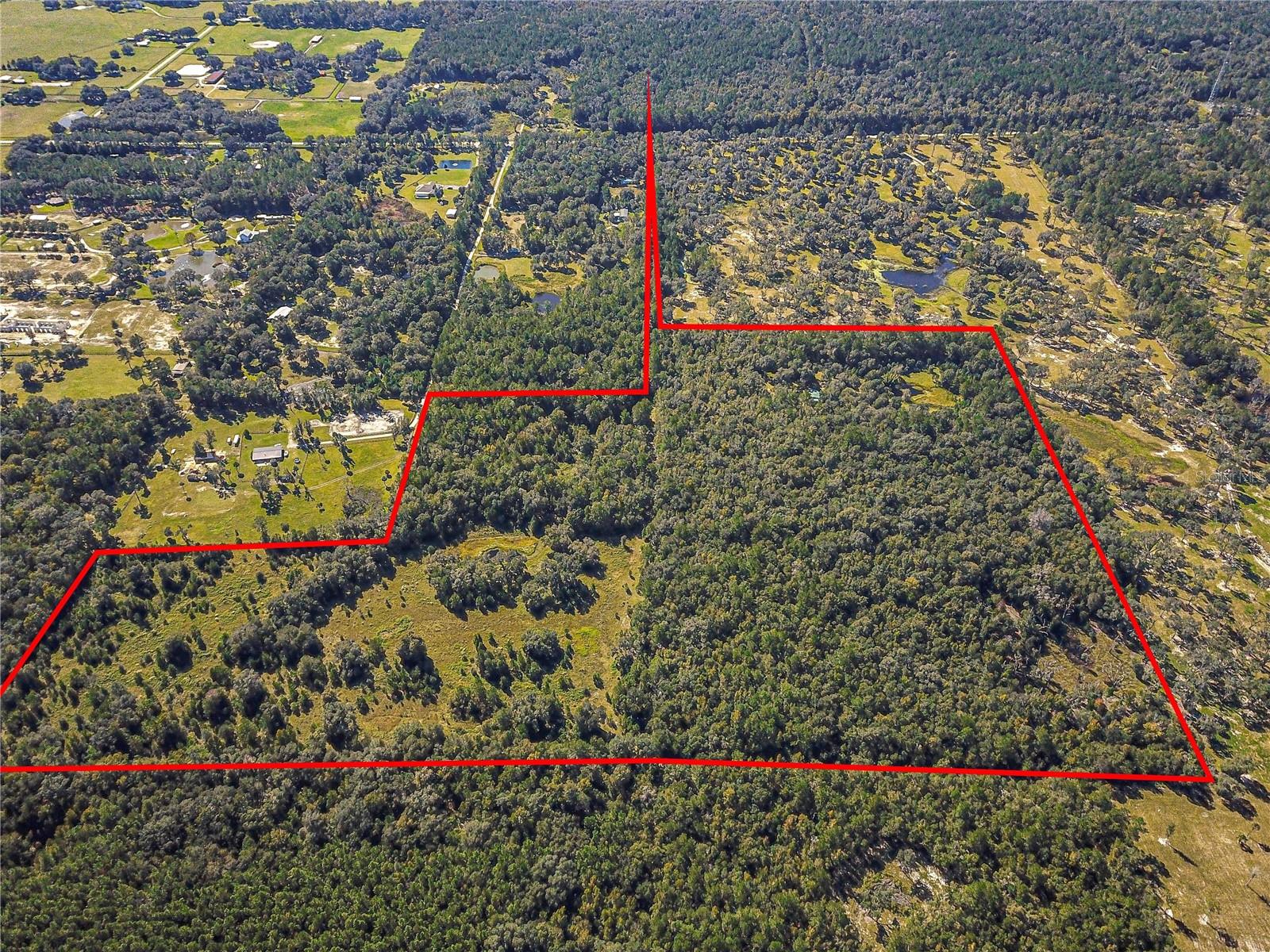 Details for 00 Hwy 316  , REDDICK, FL 32686