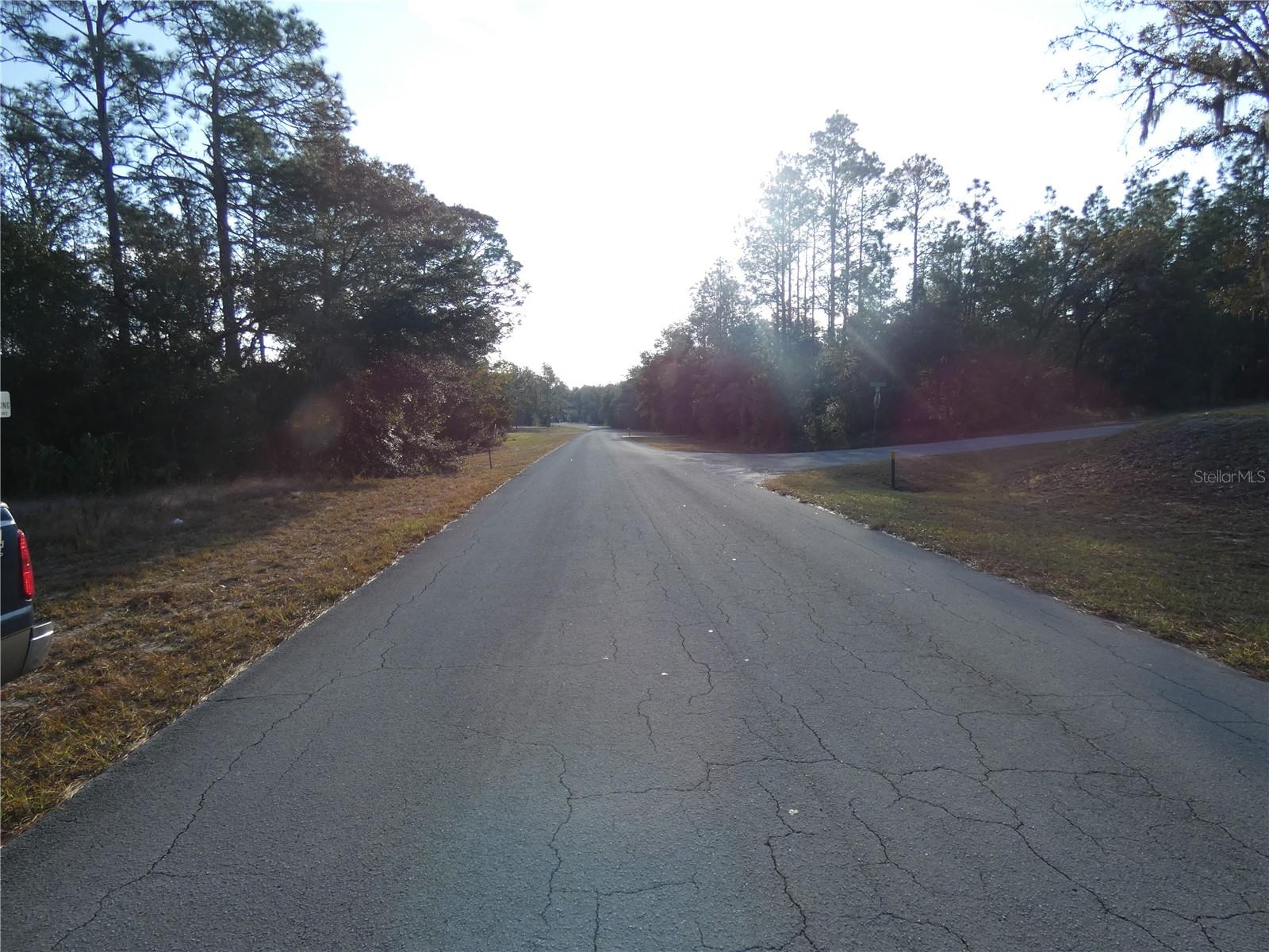 Image 1 of 17 For Lot 31 93 Lane Rd  Dunnellon