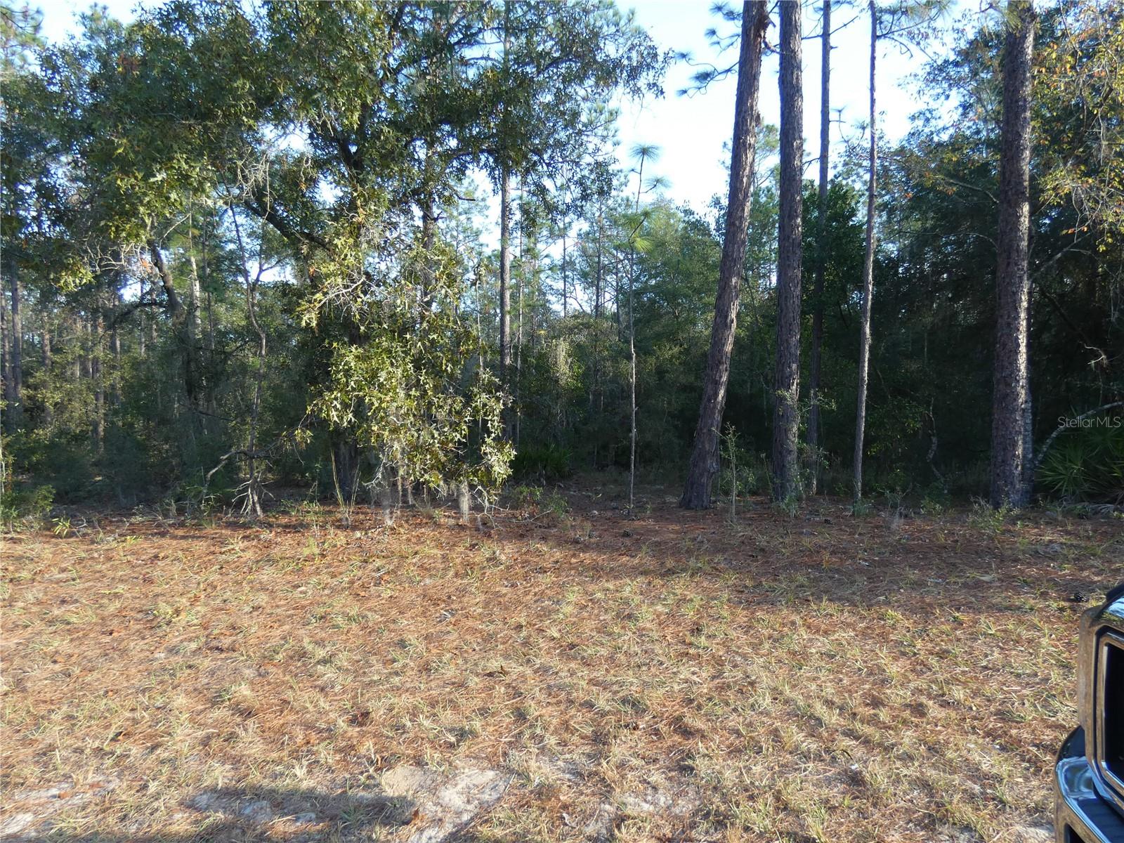 Image 3 of 17 For Lot 31 93 Lane Rd  Dunnellon