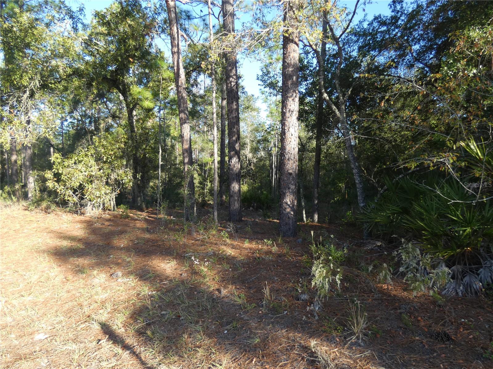 Image 4 of 17 For Lot 31 93 Lane Rd  Dunnellon