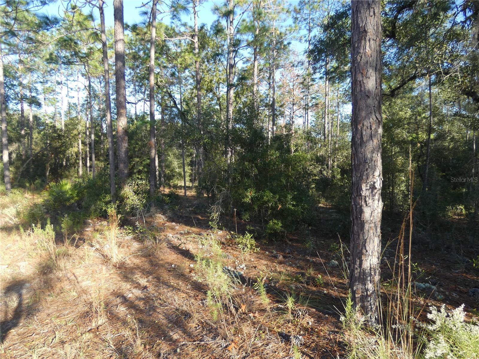 Image 5 of 17 For Lot 31 93 Lane Rd  Dunnellon