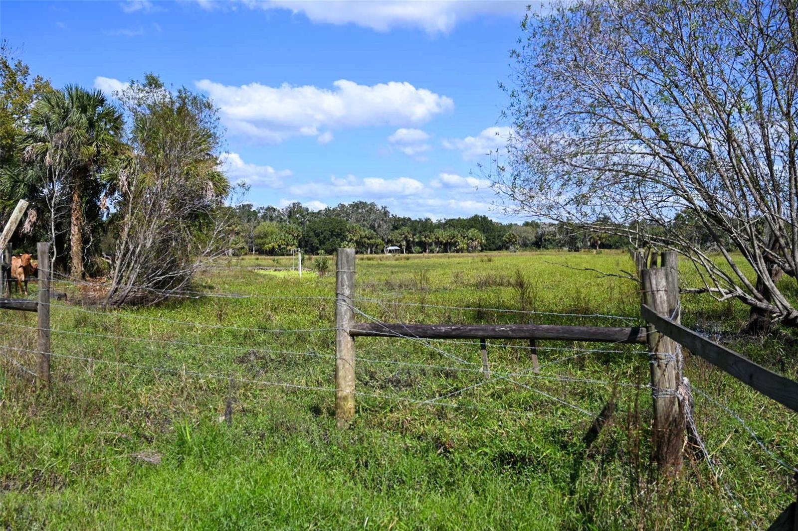 Image 4 of 32 For 167 Golden Oaks Road